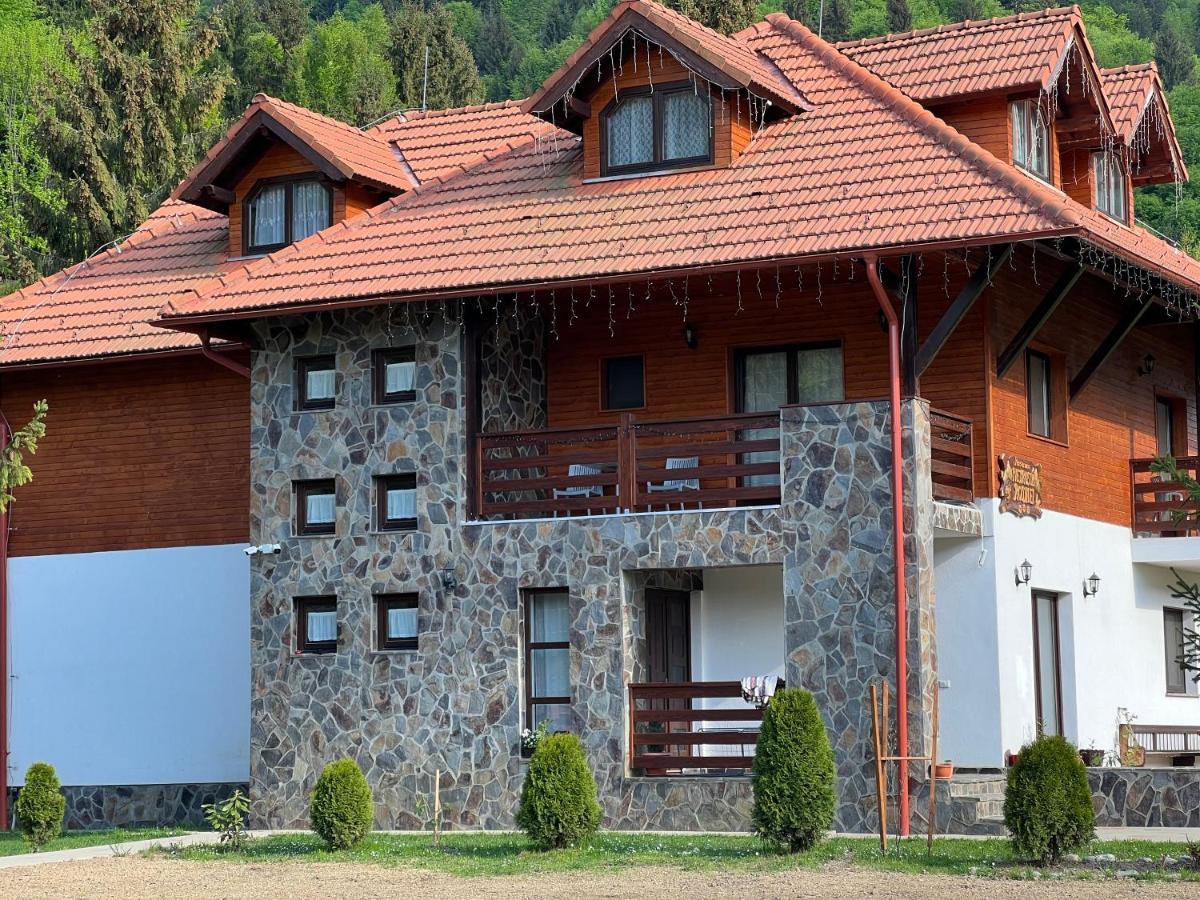 Pensiunea Pietrosul Rodnei Moisei Extérieur photo