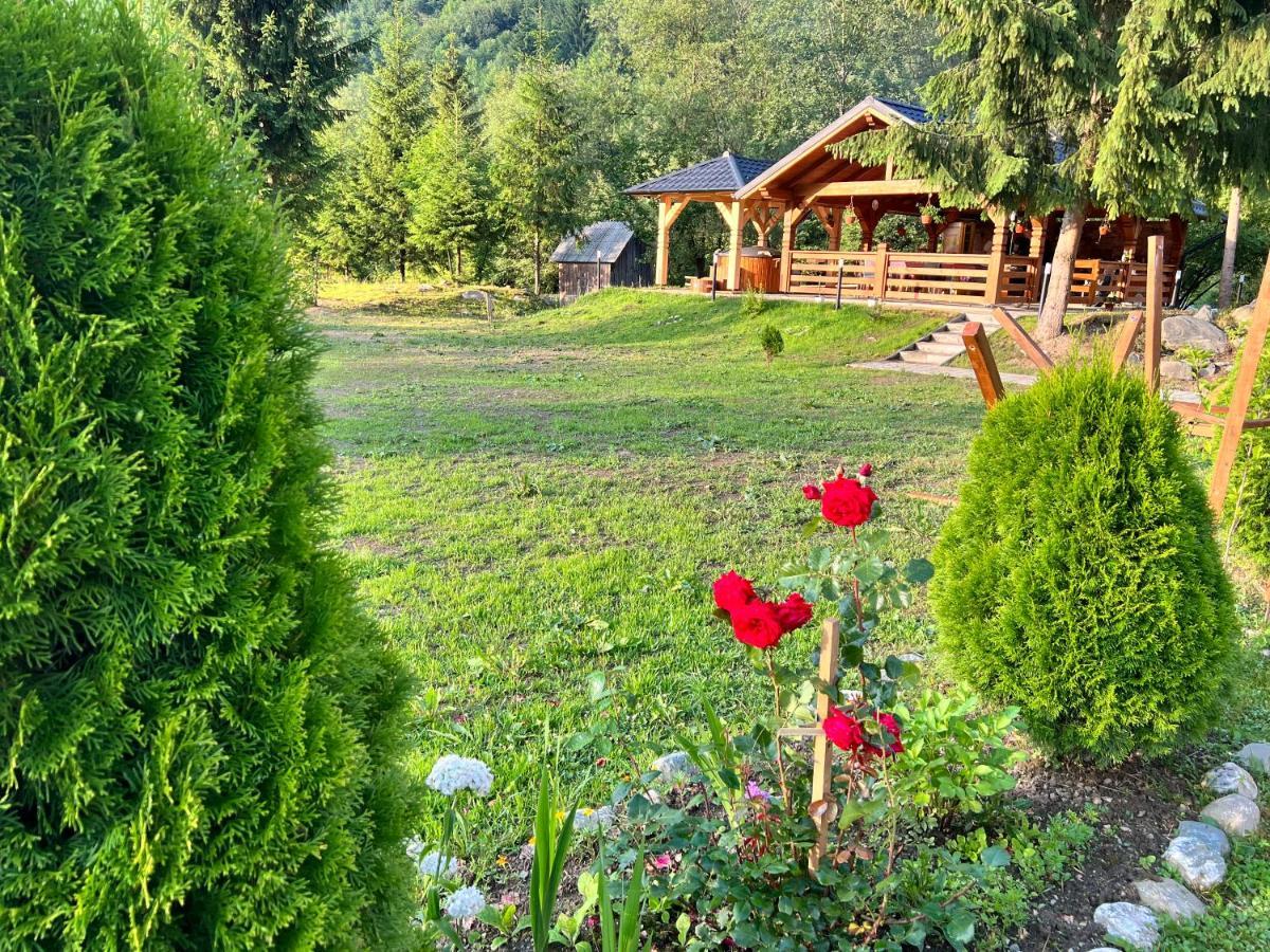 Pensiunea Pietrosul Rodnei Moisei Extérieur photo