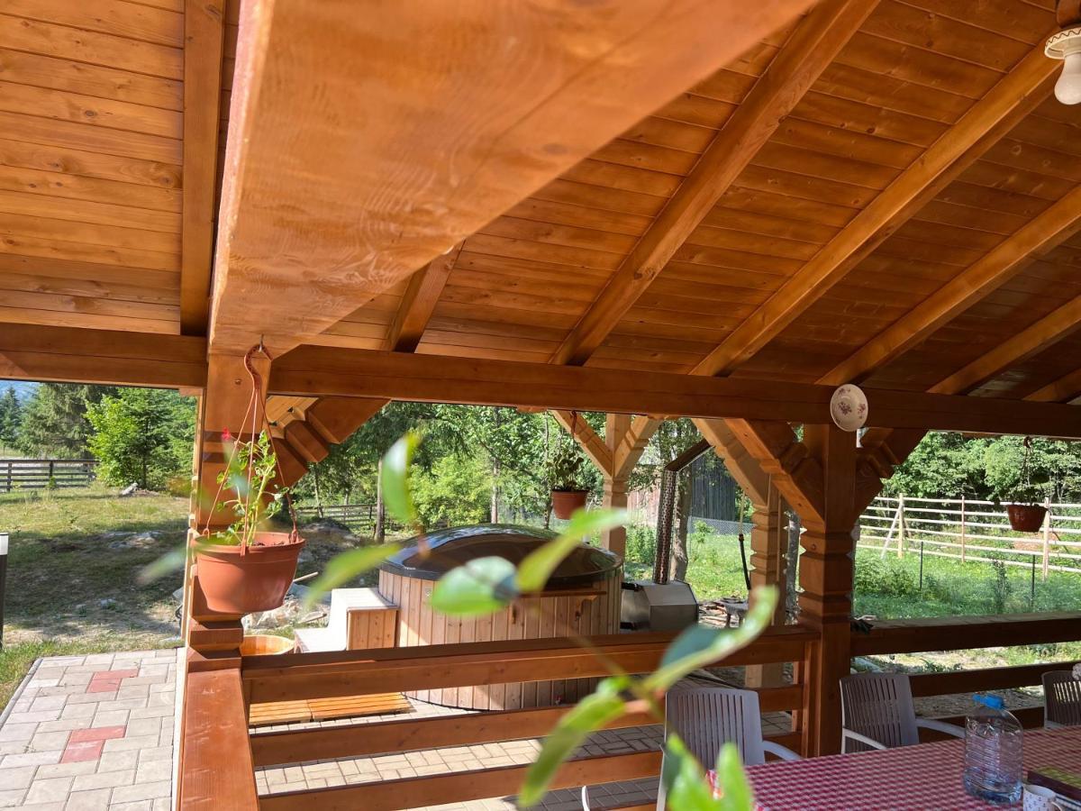 Pensiunea Pietrosul Rodnei Moisei Extérieur photo