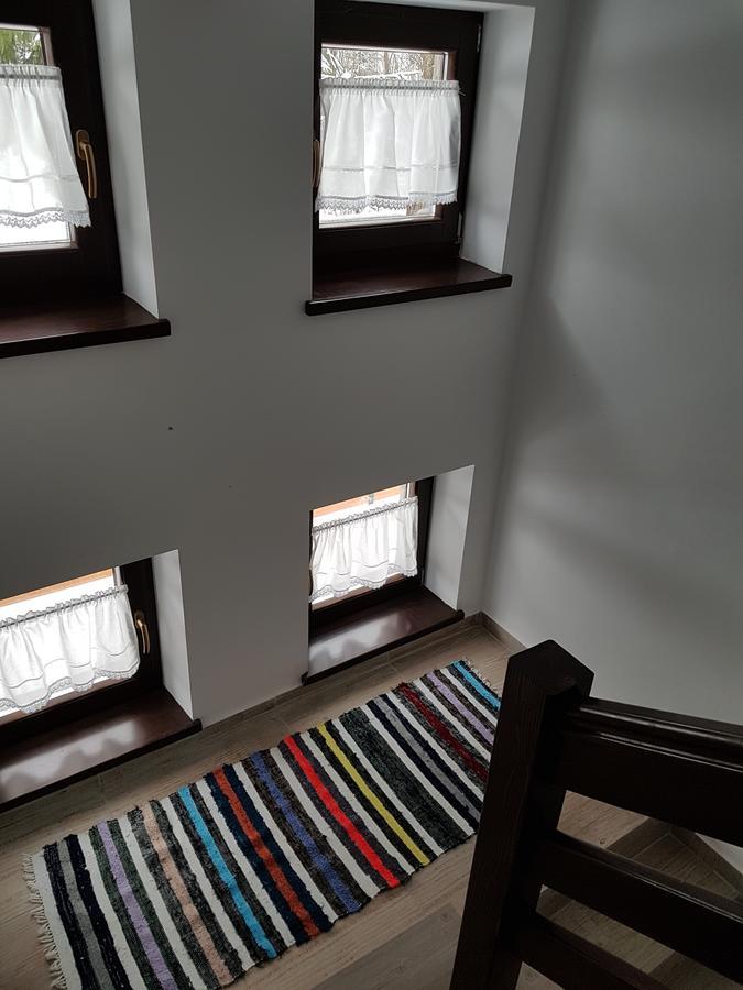 Pensiunea Pietrosul Rodnei Moisei Extérieur photo
