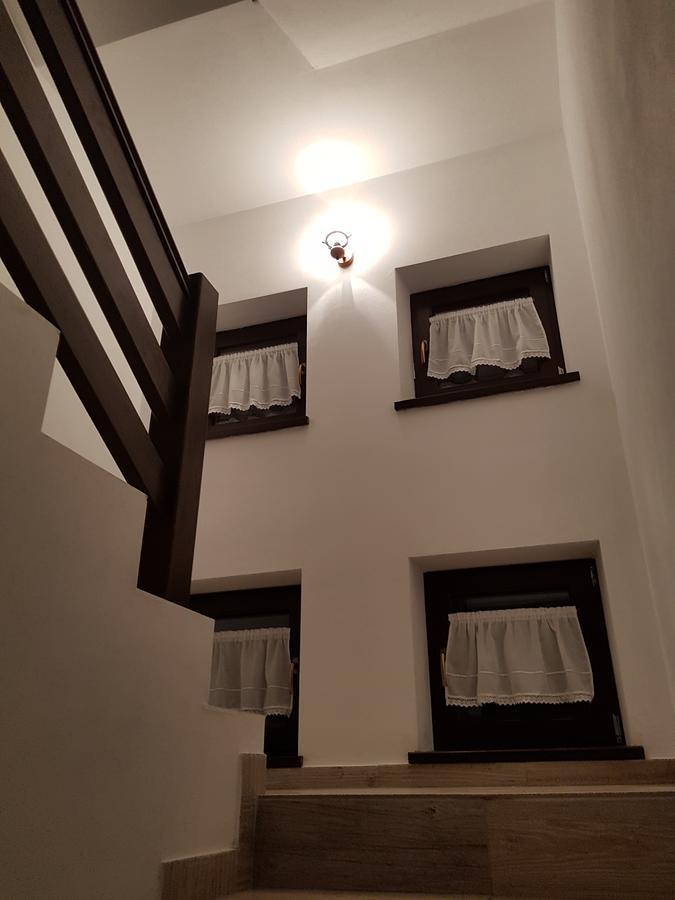 Pensiunea Pietrosul Rodnei Moisei Extérieur photo