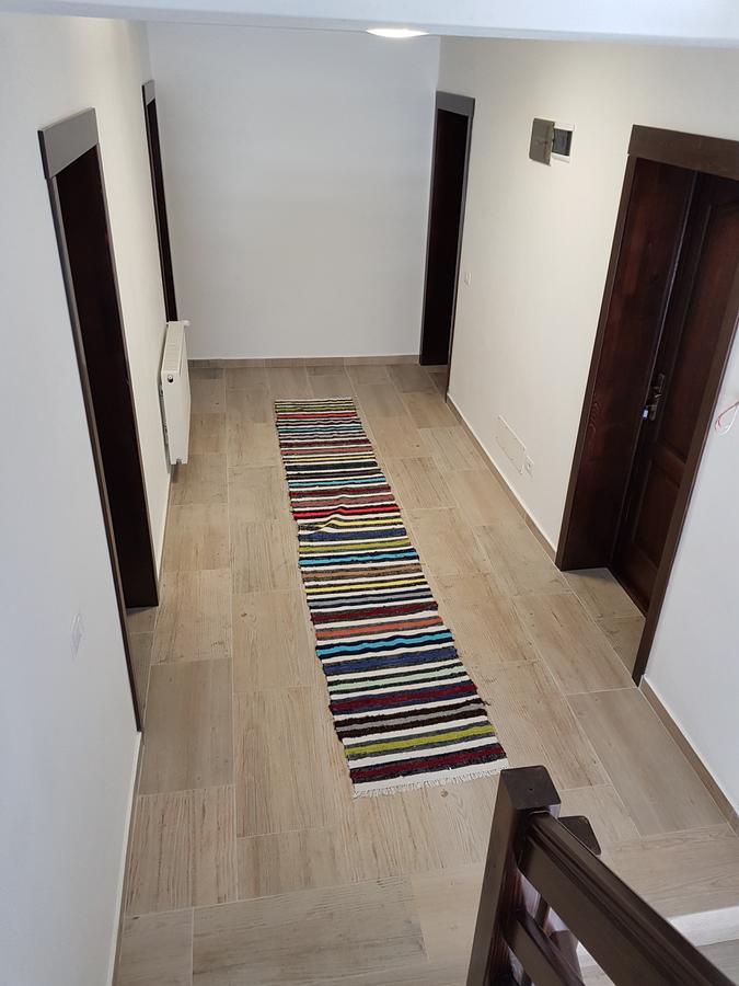 Pensiunea Pietrosul Rodnei Moisei Extérieur photo
