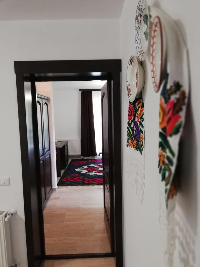Pensiunea Pietrosul Rodnei Moisei Extérieur photo