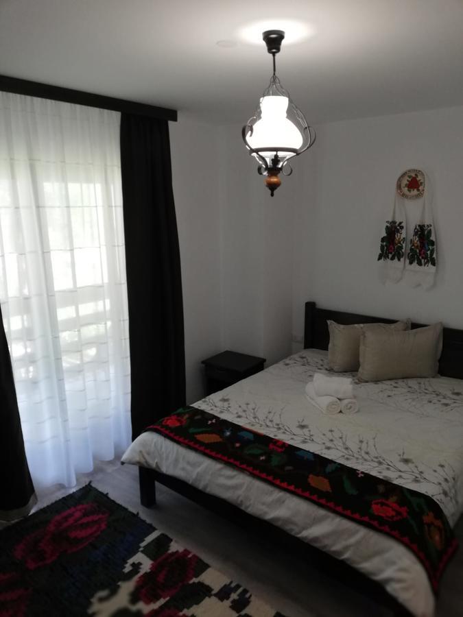 Pensiunea Pietrosul Rodnei Moisei Extérieur photo