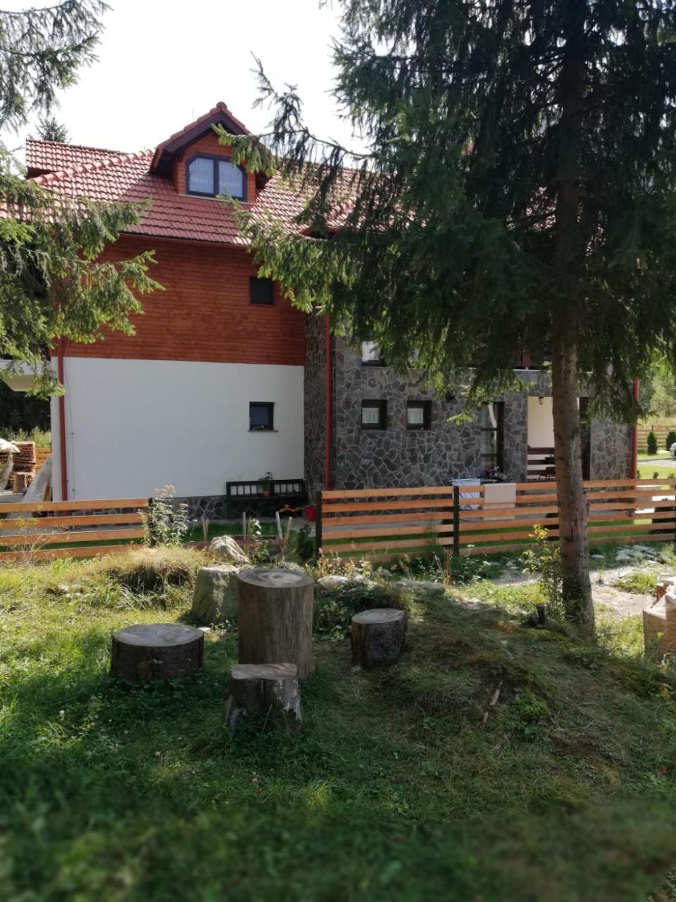Pensiunea Pietrosul Rodnei Moisei Extérieur photo