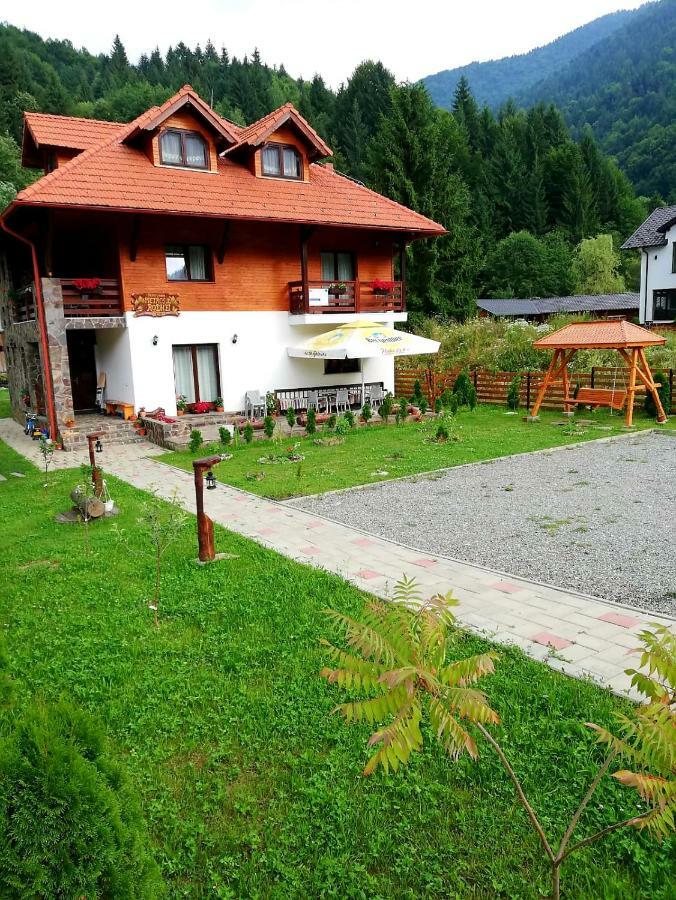 Pensiunea Pietrosul Rodnei Moisei Extérieur photo